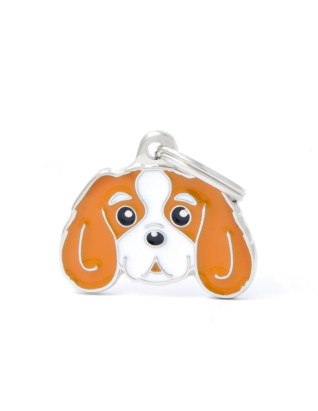 MY FAMILY - BLENHEIM CAVALIER KING