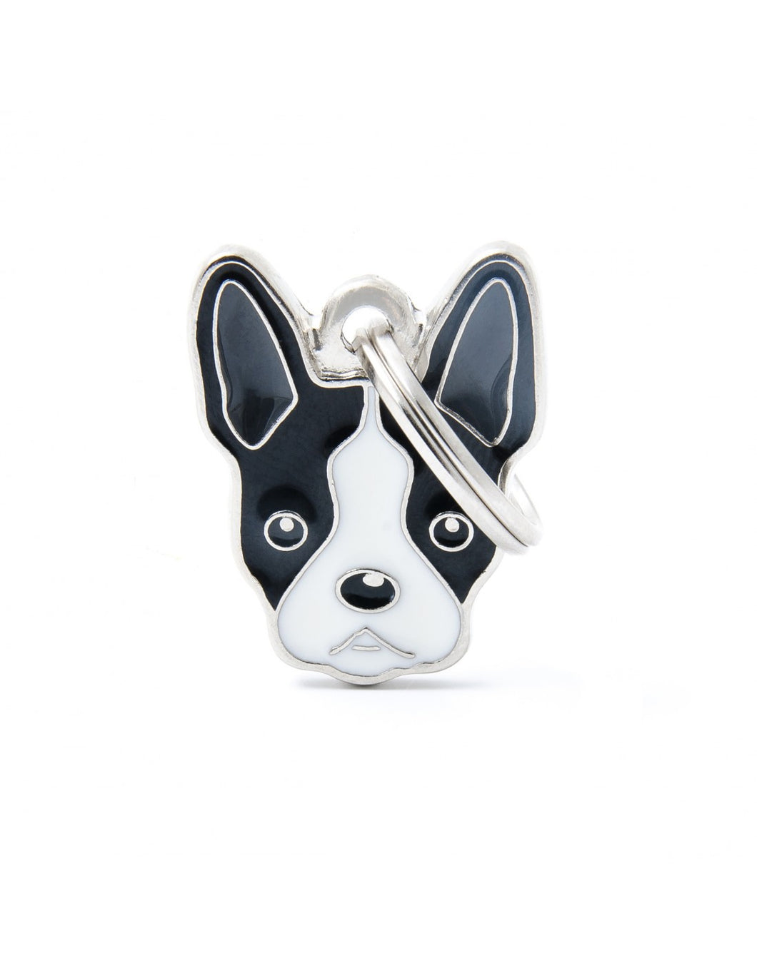 MY FAMILY - BOSTON TERRIER