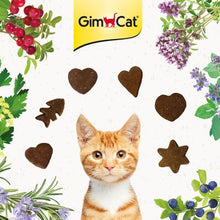 Load image into Gallery viewer, GIM CAT - CRUNCHY TURKEY WITH CRANBERRIES SNACK
