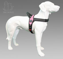 Load image into Gallery viewer, TRE PONTI - PRIMO HARNESS PINK
