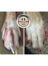 Load image into Gallery viewer, NATURAL DOG COMPANY - SKIN SOOTHER
