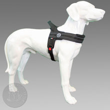 Load image into Gallery viewer, TRE PONTI - PRIMO PLUS REFLECTIVE HARNESS BLACK
