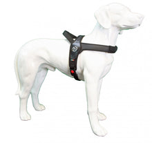 Load image into Gallery viewer, TRE PONTI - PRIMO HARNESS BLACK
