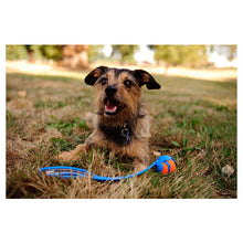Load image into Gallery viewer, CHUCKIT SPORT BALL LAUNCHER

