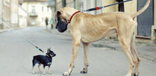 Load image into Gallery viewer, TRE PONTI - WAW EASY WALK SYSTEM
