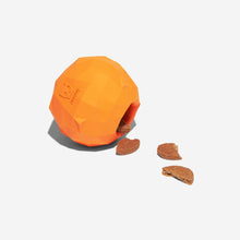 Load image into Gallery viewer, ZEE.DOG - SUPER ORANGE
