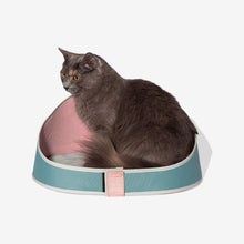 Load image into Gallery viewer, ZEE.CAT BED - KOMBUCHA
