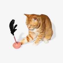 Load image into Gallery viewer, ZEE.CAT - TEASER CITRUS
