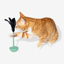 Load image into Gallery viewer, ZEE.CAT - TEASER MINT

