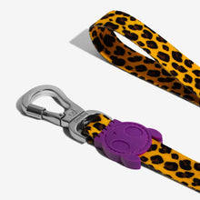 Load image into Gallery viewer, ZEE.DOG - HONEY LEASH
