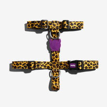 Load image into Gallery viewer, ZEE.DOG - HONEY H-HARNESS
