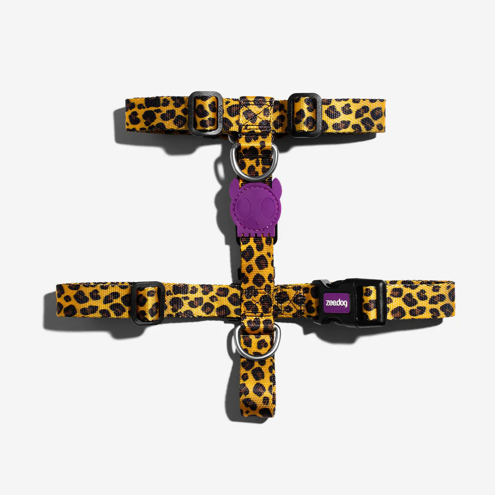 ZEE.DOG - HONEY H-HARNESS