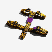 Load image into Gallery viewer, ZEE.DOG - HONEY H-HARNESS
