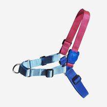 Load image into Gallery viewer, ZEE.DOG - COOLY SOFT WALK HARNESS
