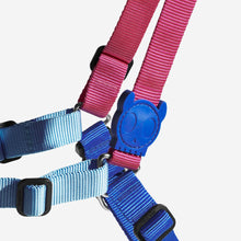 Load image into Gallery viewer, ZEE.DOG - COOLY SOFT WALK HARNESS
